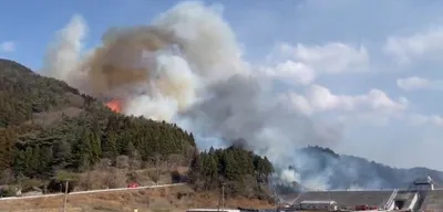 Japonya'da Orman Yangını