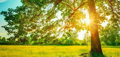 Havalar Ne Zaman Isınacak? Meteoroloji Hava Durumu Tahminini Paylaştı