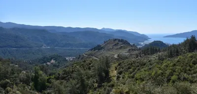 Muğla'da Ormanlara Giriş Yasaklandı