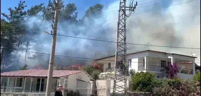 Muğla'nın Marmaris İlçesinde Orman Yangını