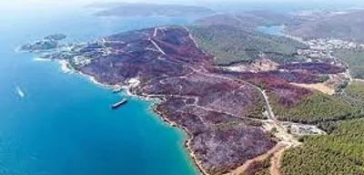 Muğla'da Orman Yangınlarını Önlemek için Yeni Tedbirler