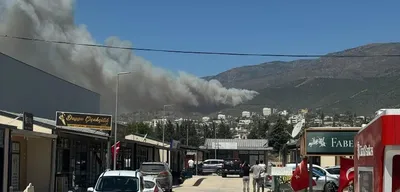 Hatay'da Ormanlık Alanda Yangın