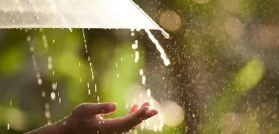 Kuvvetli Yağış ve Rüzgar Uyarısı