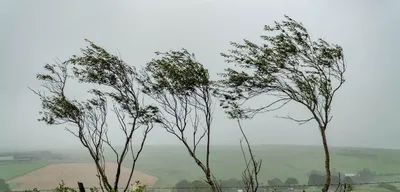 Meteoroloji Uyardı: Yağış, Rüzgar ve Toz Taşınımına Dikkat