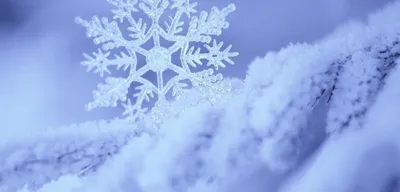 Meteoroloji'den 5 İl İçin Yağış Uyarısı