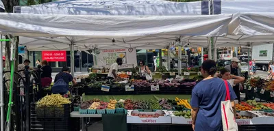 Gıda kaynaklı parazit alarmı: Vaka sayısı 17 bini aştı