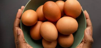 Salmonella salgını 8 Avrupa ülkesine yayıldı: 306 kişi hastalandı