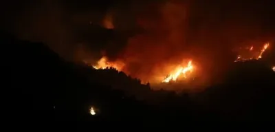 Cezayir'de çıkan orman yangınlarında 12 kişi hayatını kaybetti