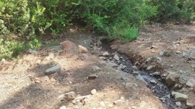 Muğla'da Ormana Terk Edilmiş Bebek Bulundu
