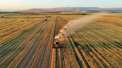 Bakanlık Duyurdu: 279,8 Milyon Lira Hesaplara Yatıyor
