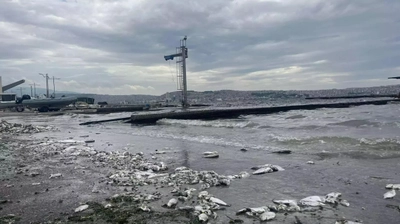 İzmir Körfezindeki Kirliliğe İlişkin Soruşturma Başlatıldı