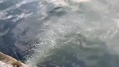 İSKİ'ye Rekor Ceza! Marmara Denizi'ne Atık Su Deşarjı Yapıldığı Tespit Edildi