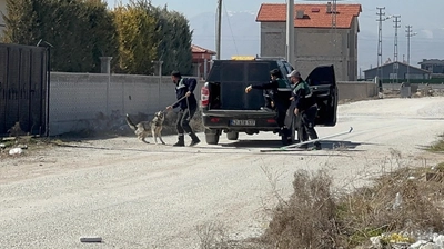 Konya'da 2 Yaşındaki Rana'yı Hayattan Koparmışlardı: Karatay Belediyesi Başıboş Köpekleri Toplatmaya Başladı