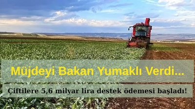 Çiftçilere 5,6 Milyar Liralık Destek Ödemesi Başladı