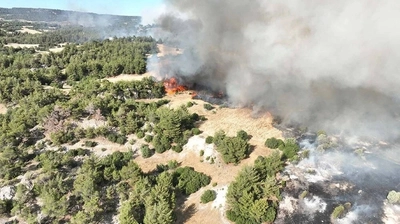 Orman Yangınlarında Zarar Bilançosu Belli Oldu
