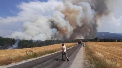 Türkiye'nin Dört Bir Yanında Orman Yangınlarıyla Mücadele: İşte 5 İlde Son Durum
