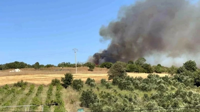 Çanakkale Lapseki'de Tarım Arazisinde Başlayan Yangın Ormana Sıçradı