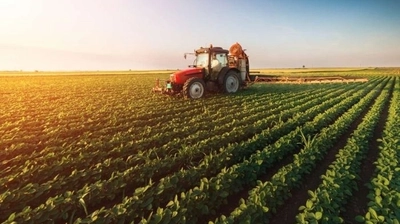 Tarım ÜFE Temmuz Ayında Azaldı
