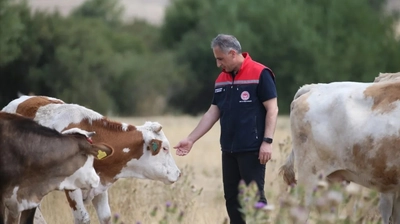 Kars'ta Şap Hastalığı Kontrol Altına Alındı