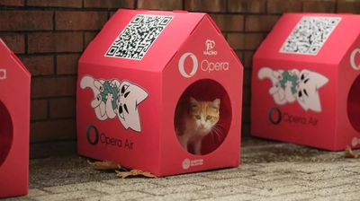 İstanbul'un Sokak Kedileri Artık "Opera Air" Güvencesinde