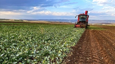 Çiftçinin Haziran Ayı Enflasyonu Belli Oldu