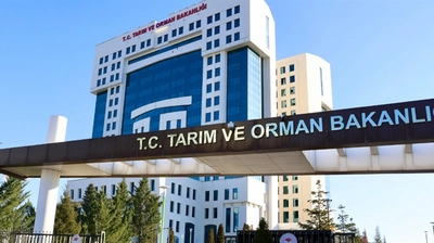 Bakanlık Piyasadan Toplatıyor! Tahsildaroğlu Peynirlerinde Mikrobiyolojik Uygunsuzluk!