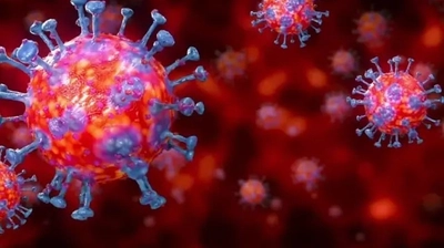 Hindistan'da Chandipura Virüsü Alarmı