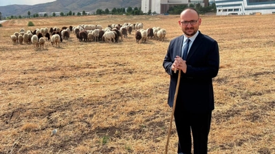 Rektör koyun fotoğrafı eleştirilerine yanıt verdi: Bilimsel projenin ürünü
