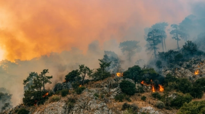 Belçika'da Ülke Tarihinin En Büyük Orman Yangını: 2 Bin 700 Hektar Alan Etkilendi