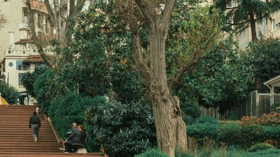 Devrilen ağaç park halindeki aracın üzerine düştü