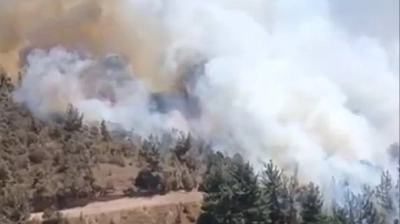 Balıkesir ve Muğla Yanıyor: İşte Yangınlarda Son Durum