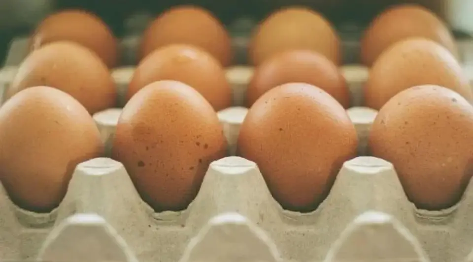 Günde Bir Yumurta Yemek O Hastalıktan Uzak Tutuyor! Zehir Gibi Hafızanın Sırrı Onda