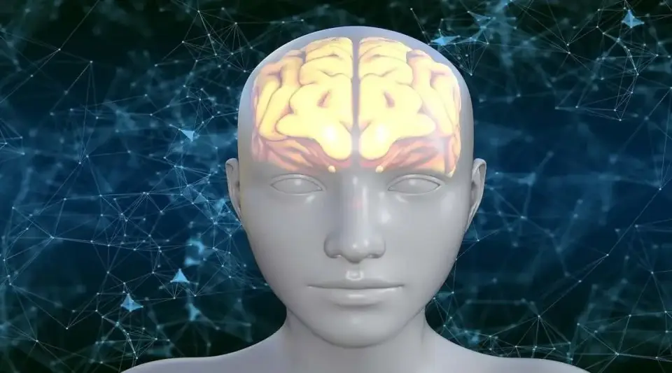 Türk Bilim İnsanlarından Tarihi Buluş! Epilepsi Hastaları İçin Özel Buluş Müjdesi