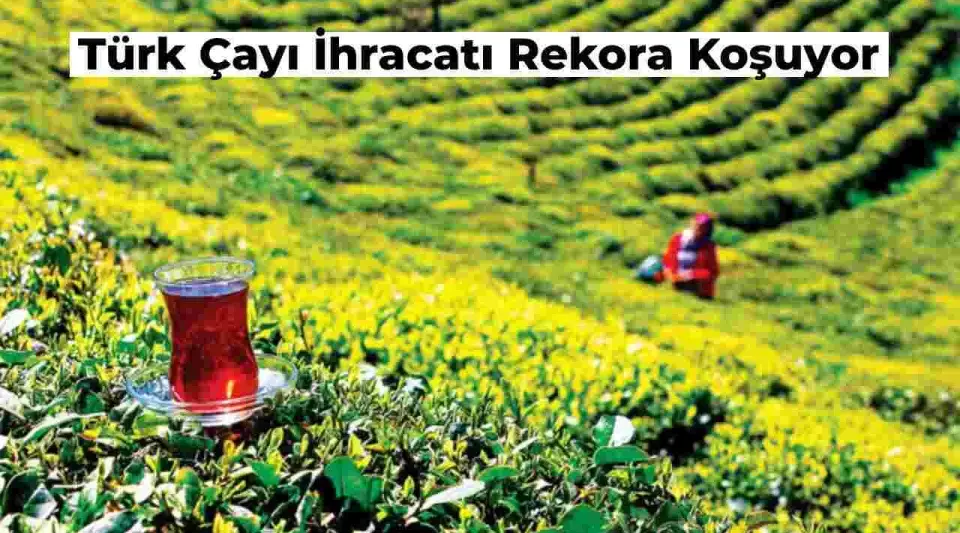 Türk Çayı İhracat Rekoruna Koşuyor! İşte Çayın İhracatta Dudak Uçuklatan Dolar Cinsinden Getirisi!
