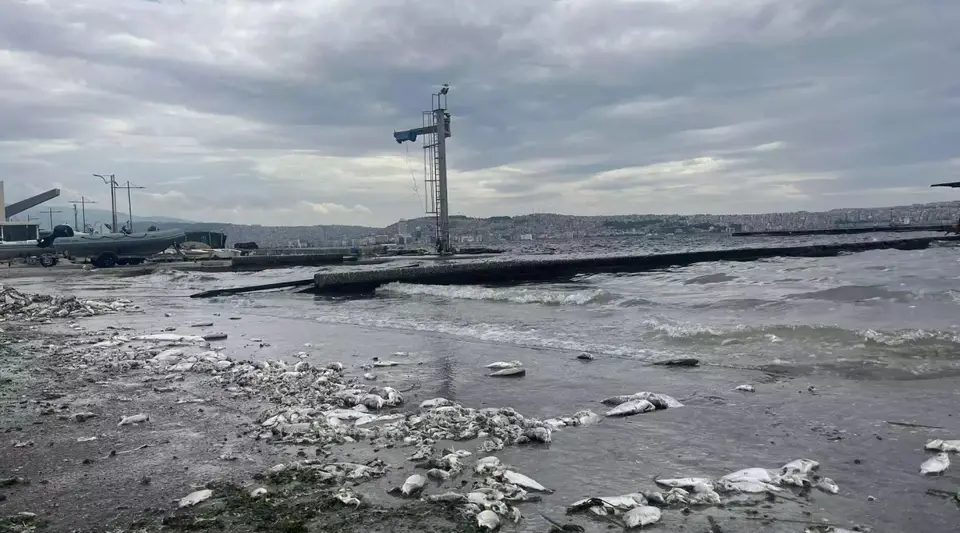 İzmir Körfezindeki Kirliliğe İlişkin Soruşturma Başlatıldı