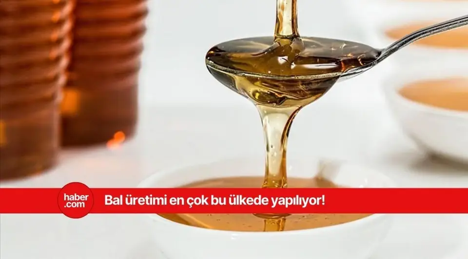 En çok bal üretimi yapan ülkeler belli oldu! Türkiye listede bakın kaçıncı sırada