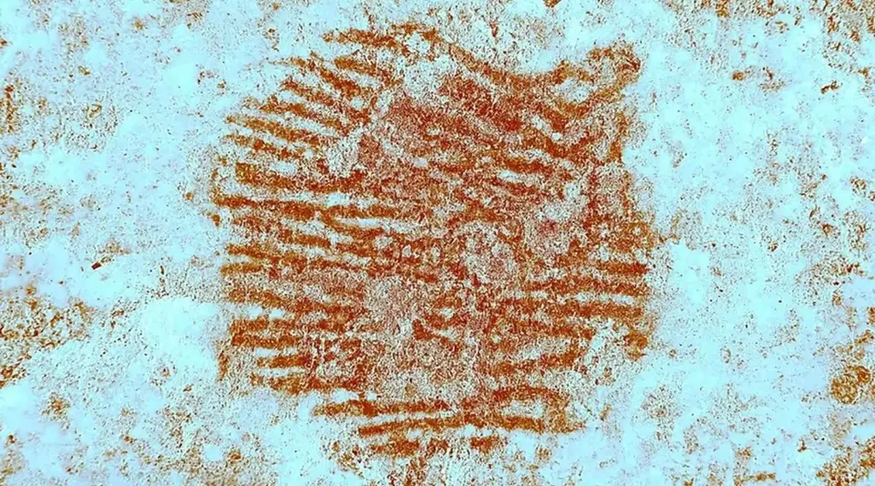 İspanya'da 43 Bin Yıllık Neandertal Parmak İzi Bulundu