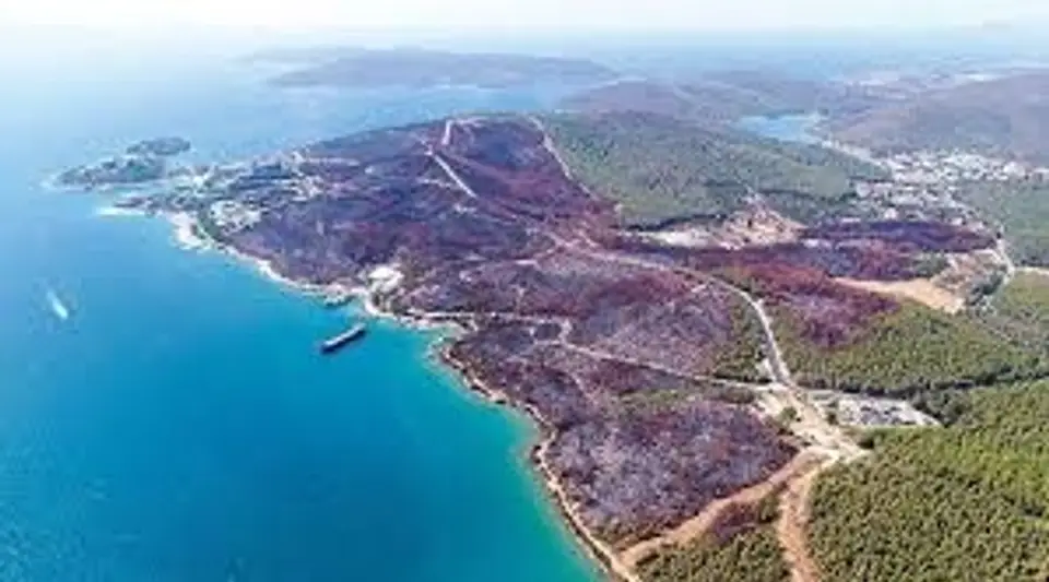 Muğla'da Orman Yangınlarını Önlemek için Yeni Tedbirler