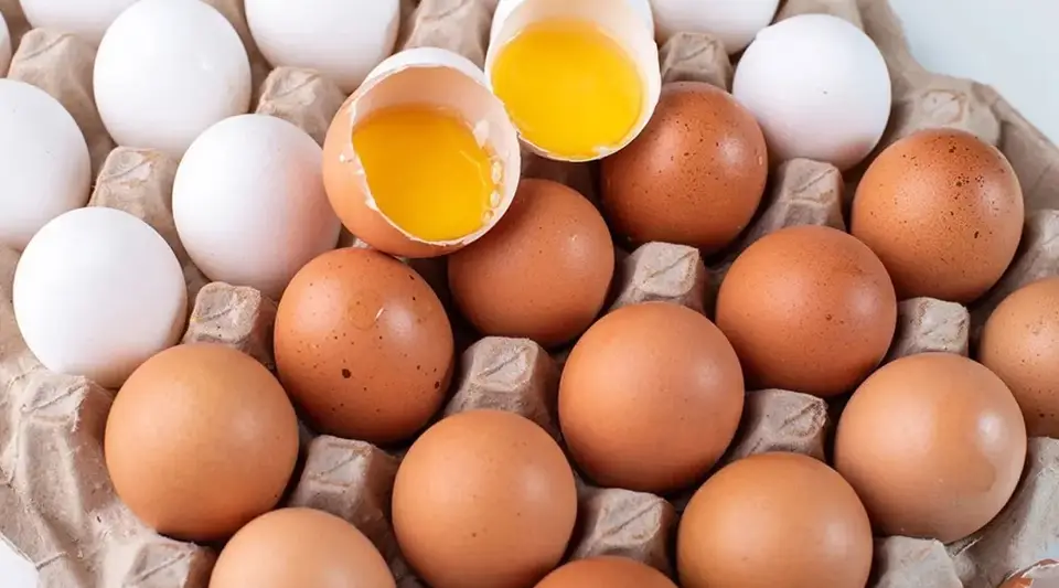 Yumurta Etiketlerinde Yeni Dönem