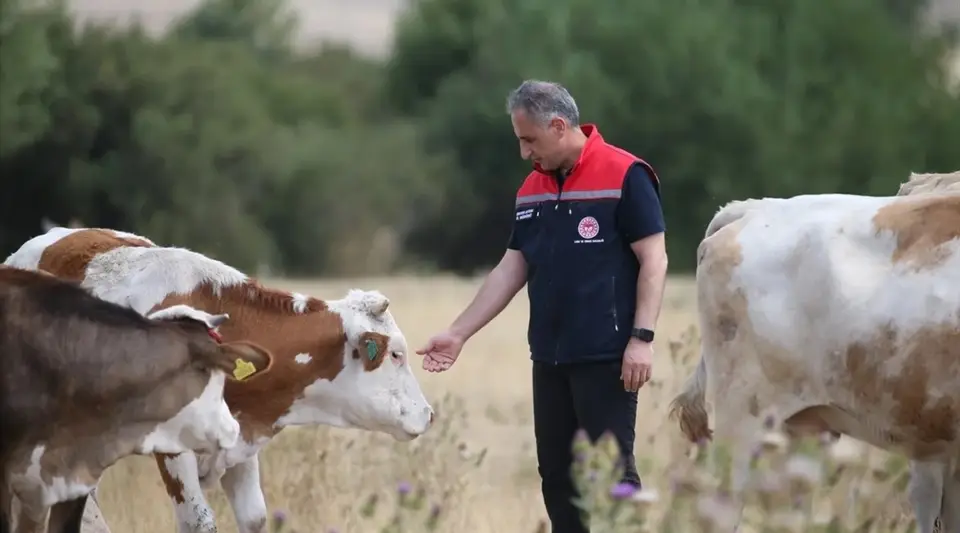 Kars'ta Şap Hastalığı Kontrol Altına Alındı
