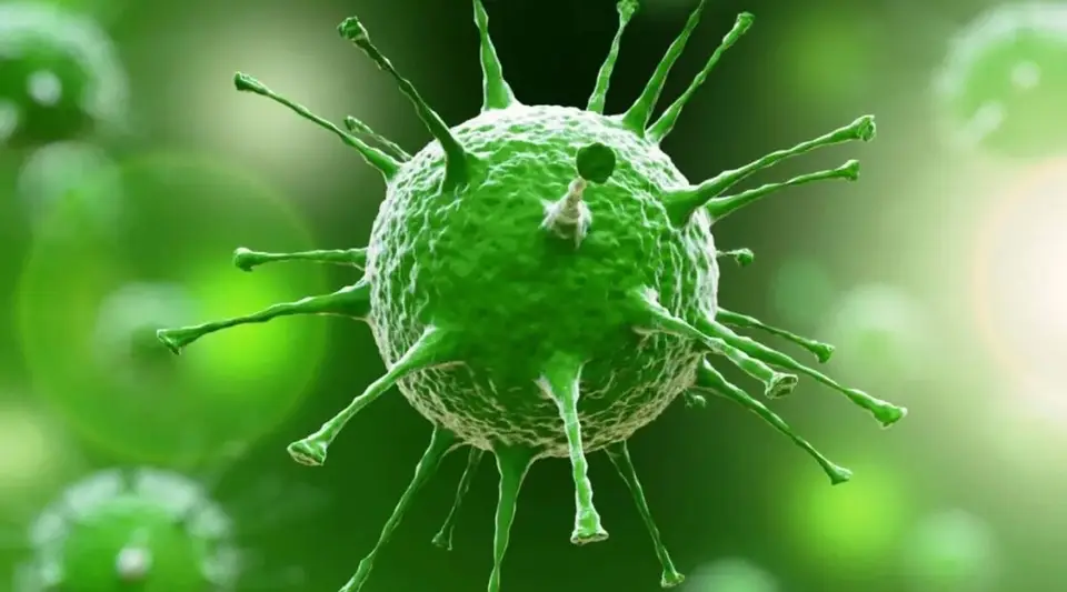 Nipah Virüsü Alarmı: "Türkiye İçin Risk Var mı?" Uzman İsimden Kritik Uyarılar