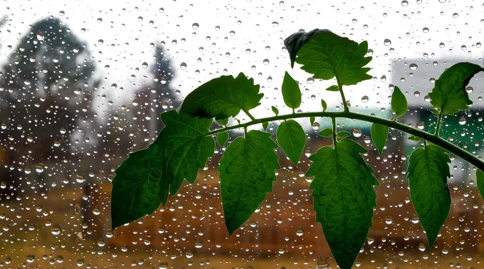 Meteoroloji ve AKOM’dan Peş Peşe Uyarı: 4 Kentte Sarı Kodlu Alarm