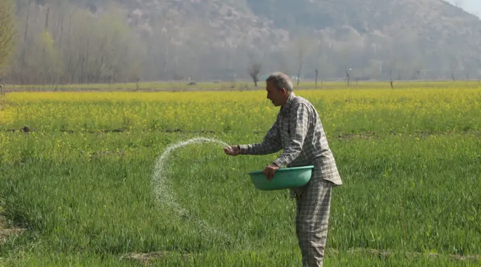 Çiftçinin Enflasyonunda Ağustos Sürprizi: Aylık Düşüşe Rağmen Yıllık Fiyatlar Yüksek