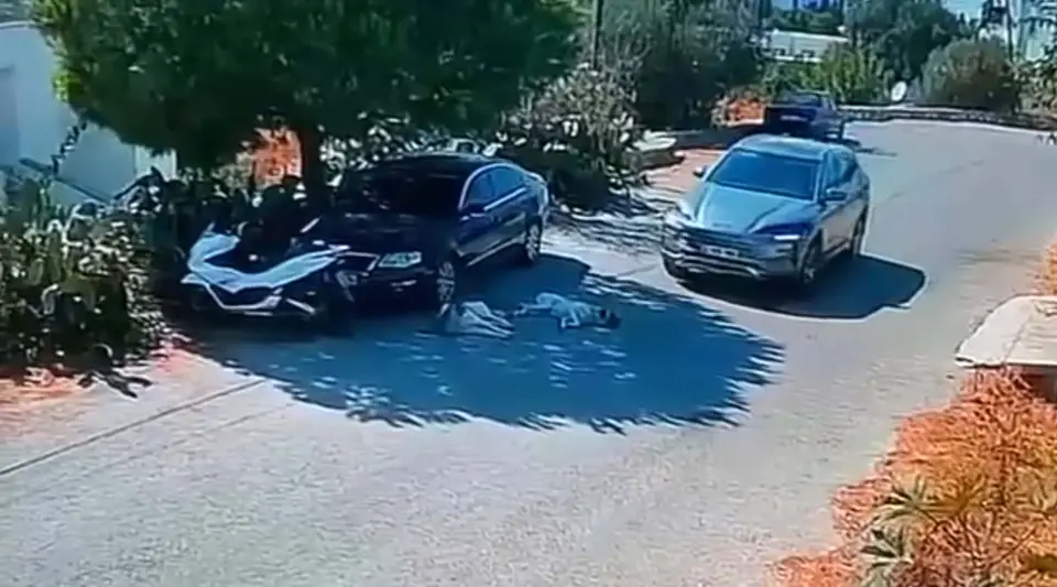 Otomobille iki köpeğin üzerinden geçti, yoluna devam etti