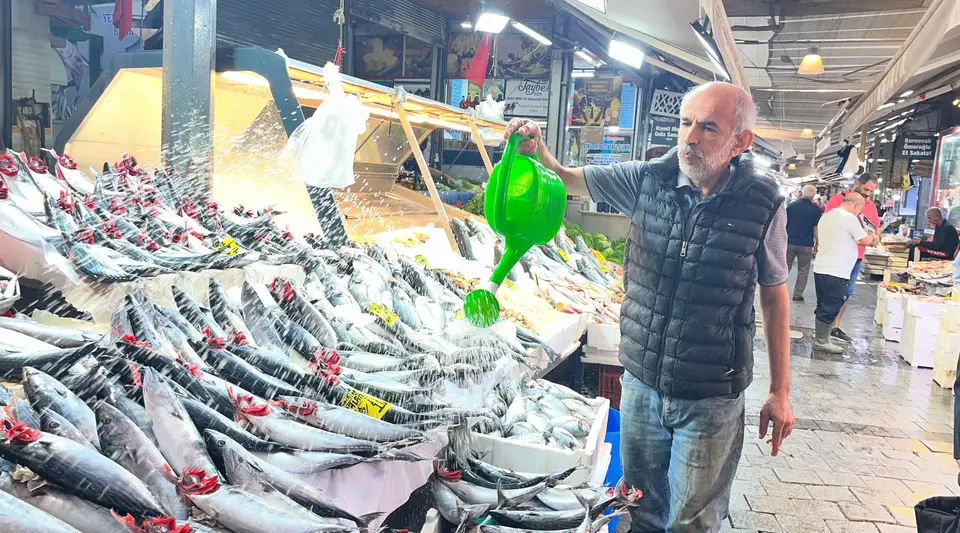 İzmir tezgahlarında palamut bolluğu: Tanesi 100 lira