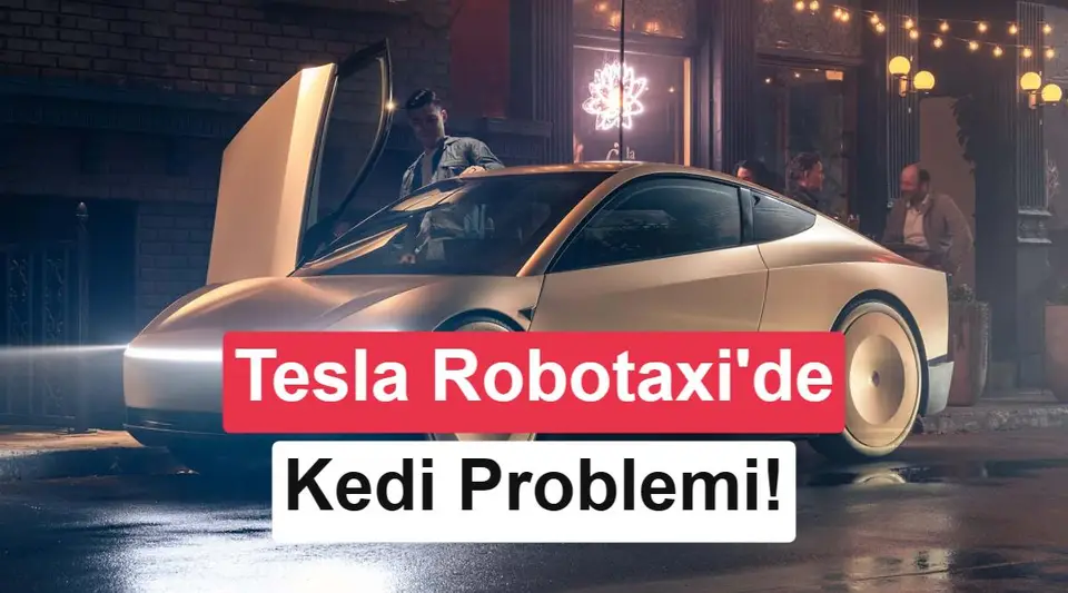 Elon Musk: Robotaksi'de karanlıkta kedileri algılamak zor