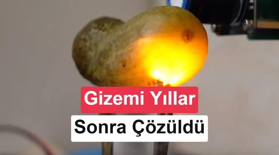 Elektrik verilen turşu neden ışıl ışıl parlar? Yıllar sonra cevabı bulundu
