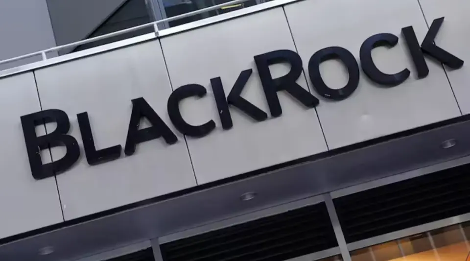 BlackRock'un kârı ve geliri beklentileri aştı