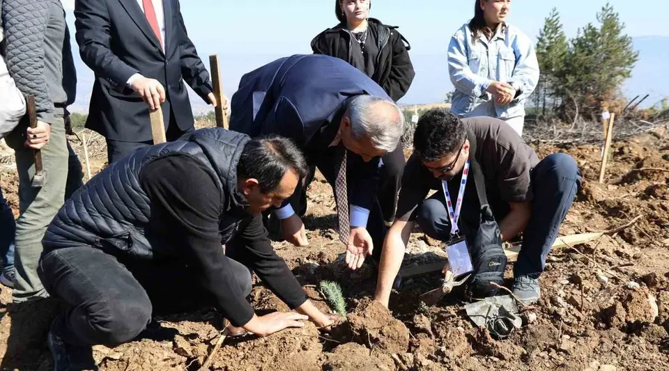 Karabük'te ErasmusDays Kapsamında 192 Kişi 250 Fidan Dikti
