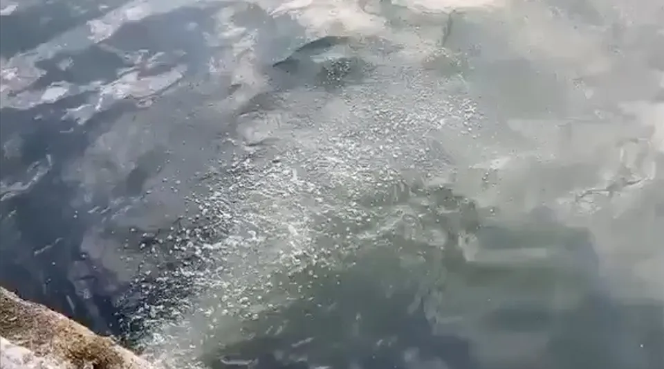 İSKİ'ye Rekor Ceza! Marmara Denizi'ne Atık Su Deşarjı Yapıldığı Tespit Edildi